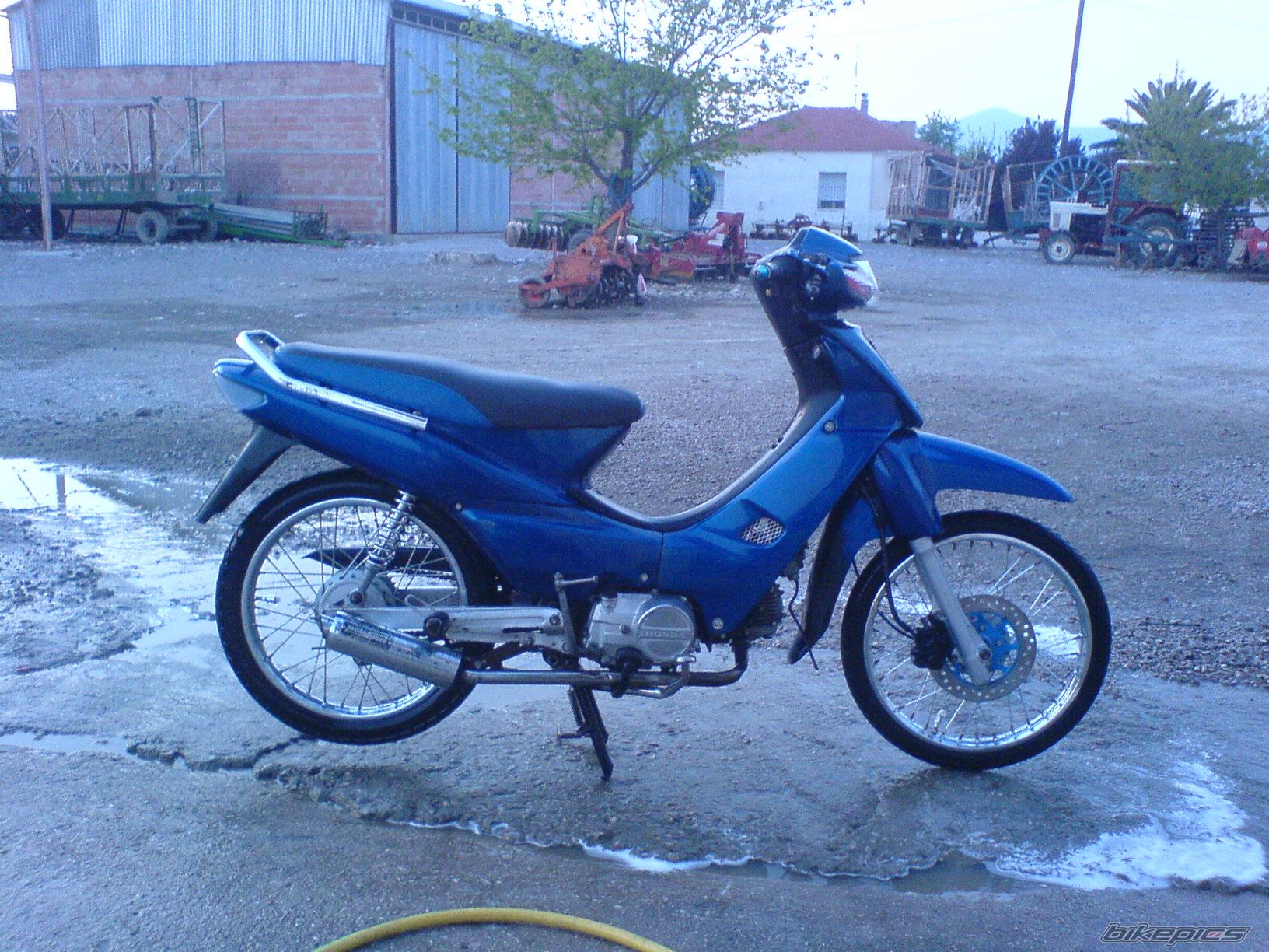 Photo 1147865