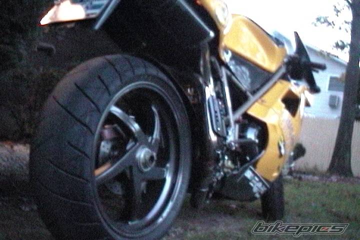 Photo 11480