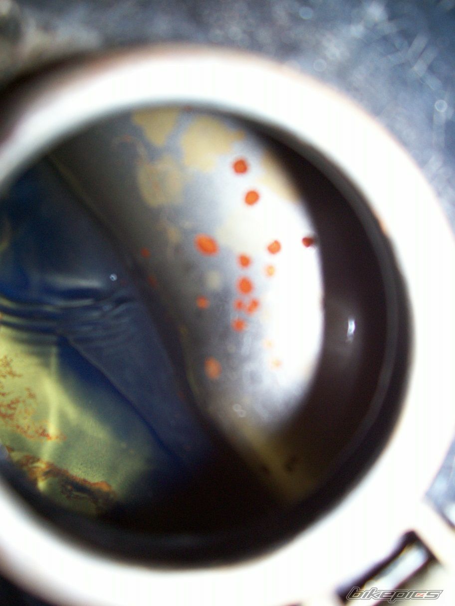 Photo 1148095