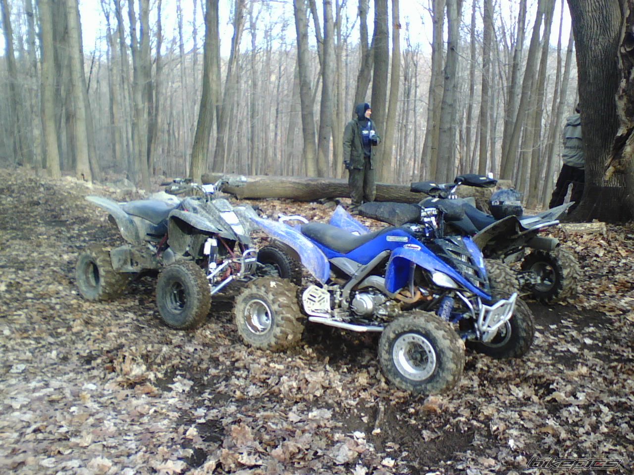 Photo 1148096