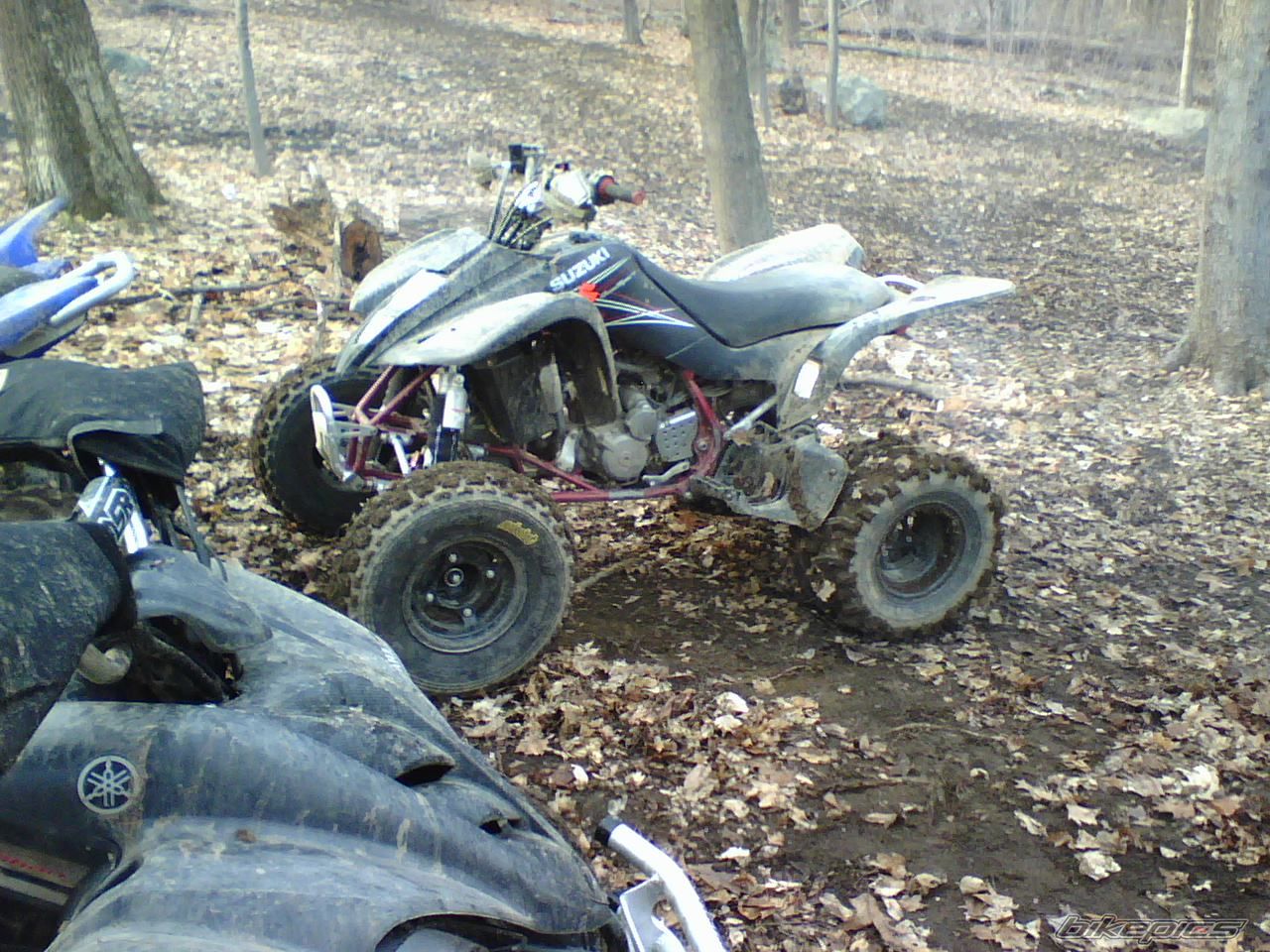 Photo 1148099