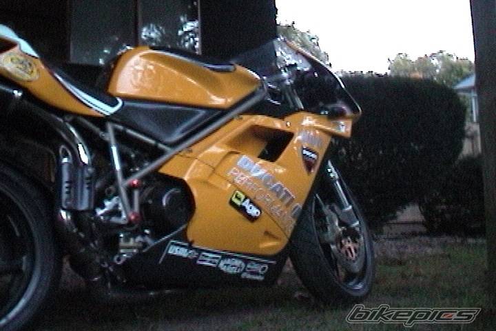 Photo 11481