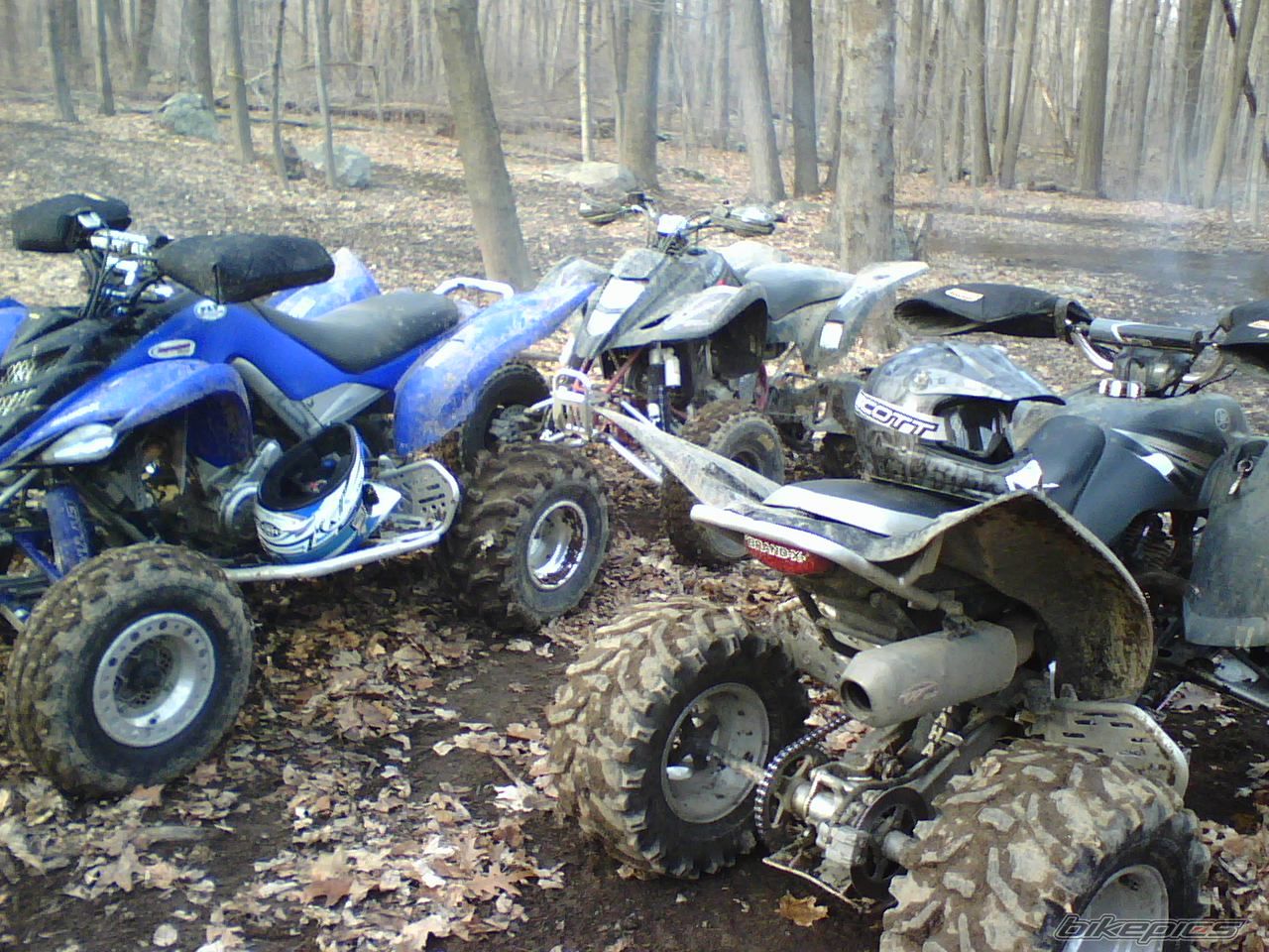 Photo 1148100