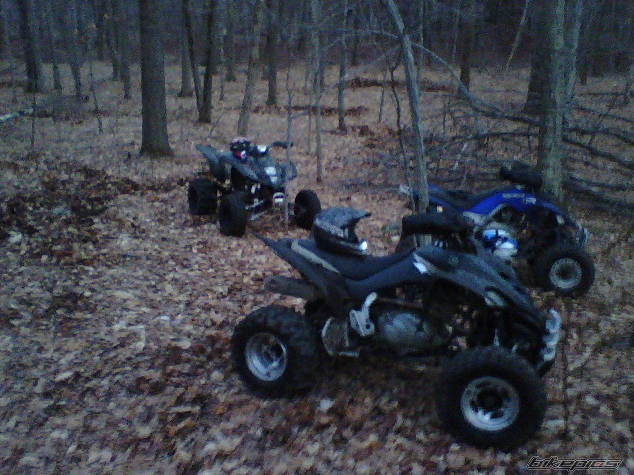 Photo 1148103