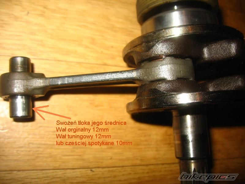 Photo 1148283