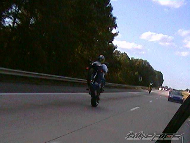Photo 11484