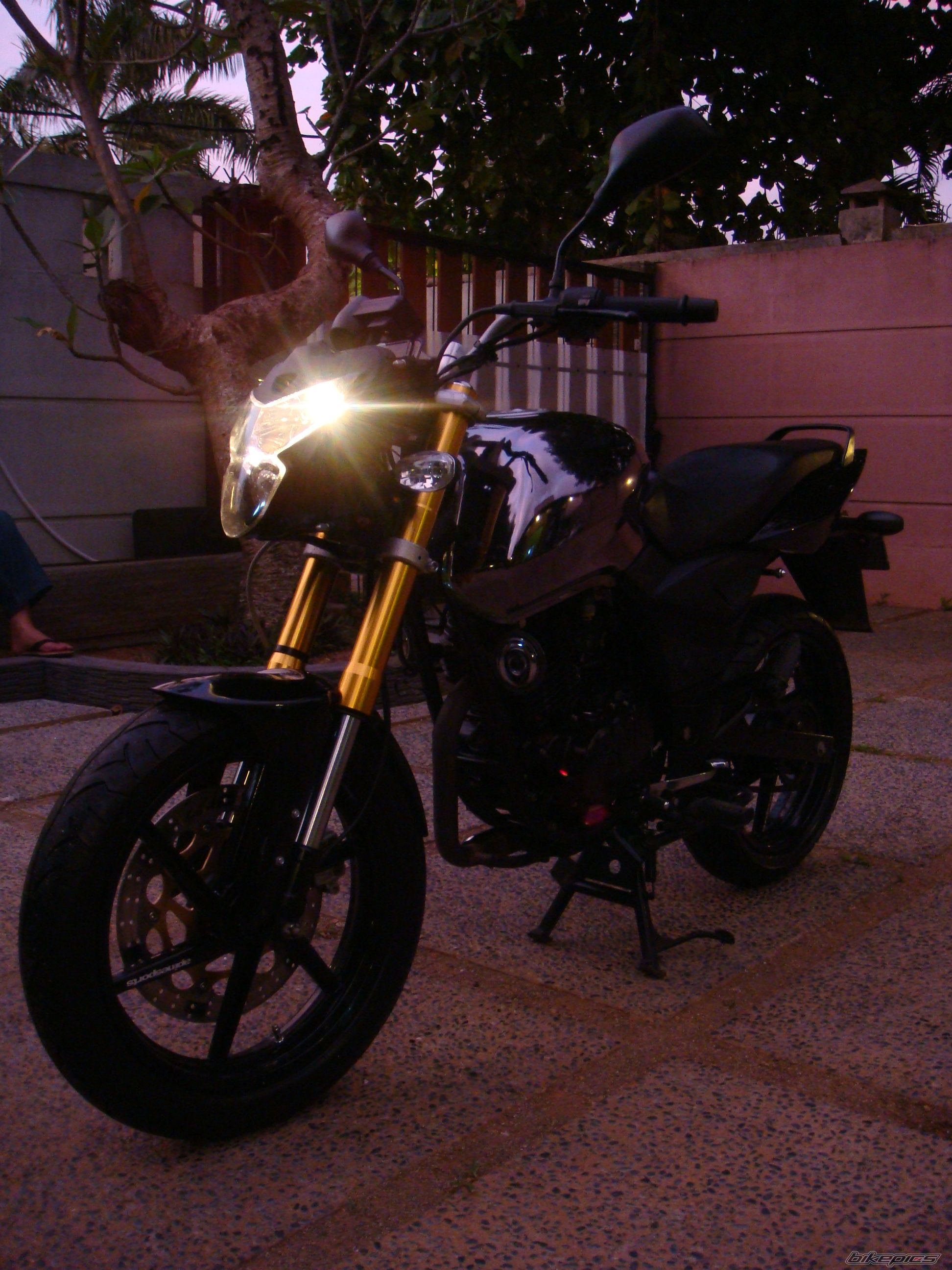 Photo 1148421