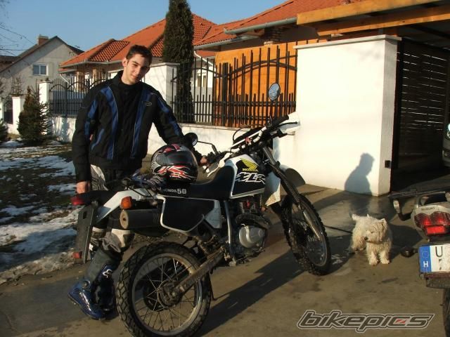 Photo 1148464