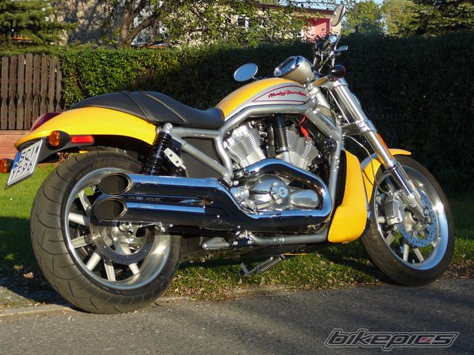 Bike Photo 1148519