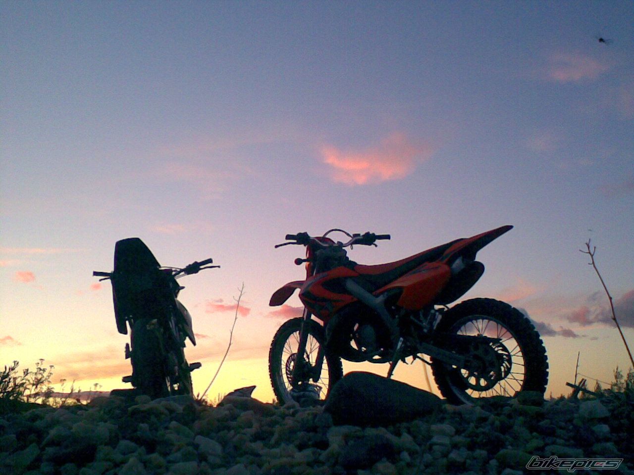 Photo 1148552