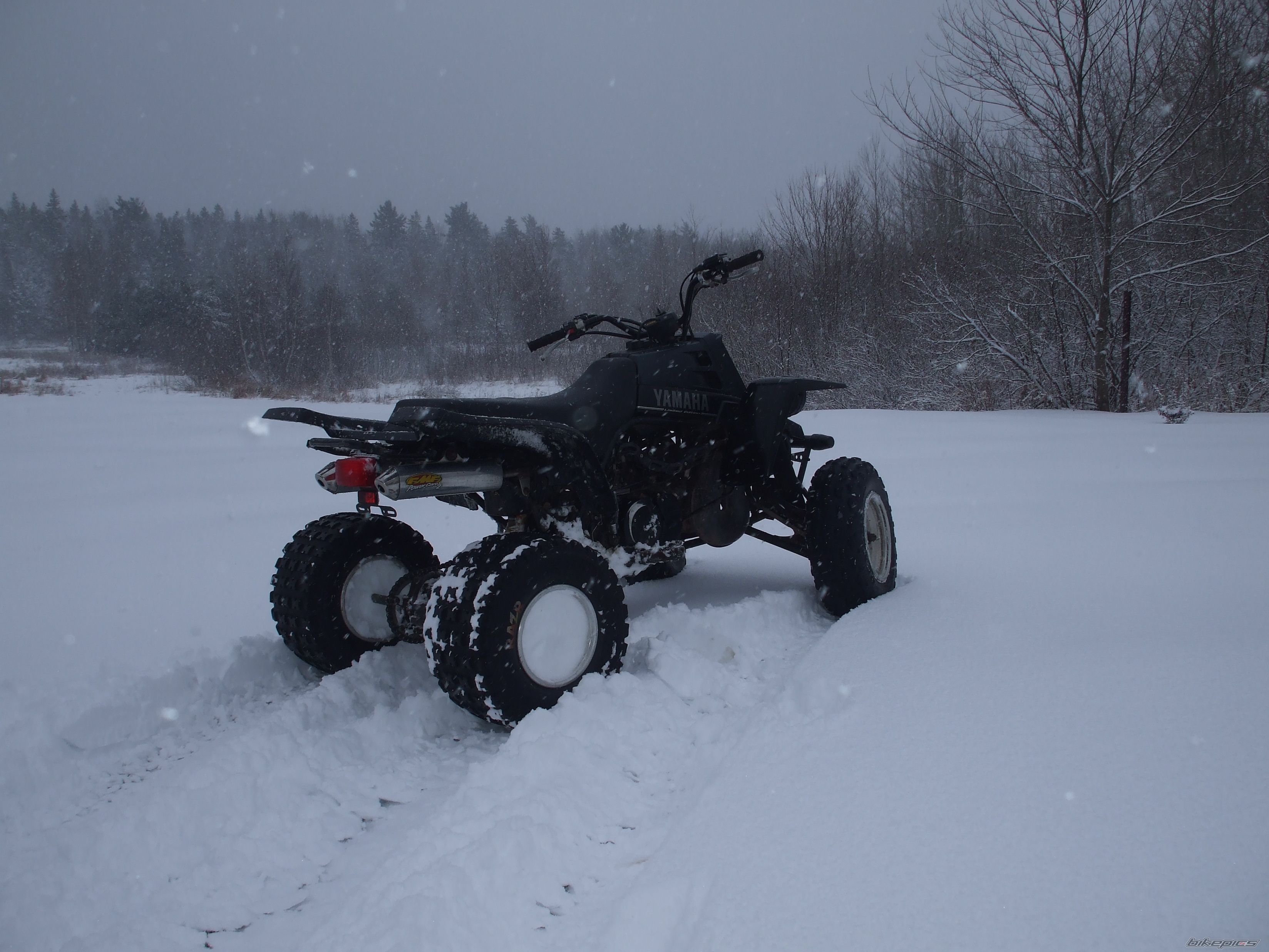 Photo 1148599
