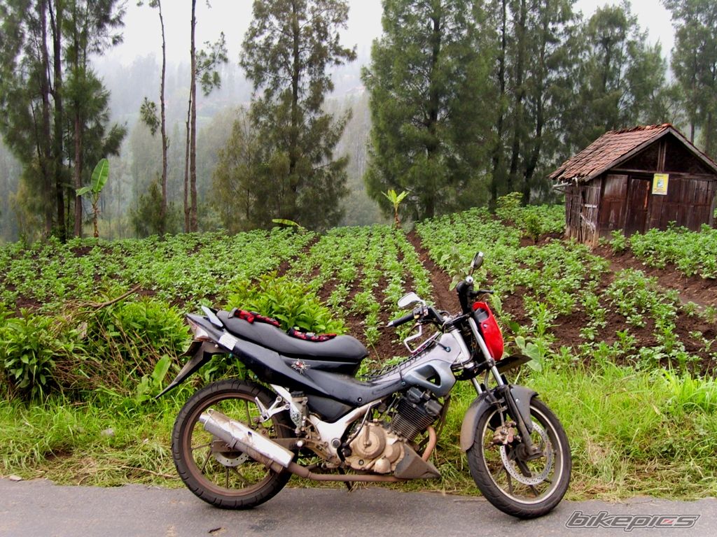 Bike Photo 1148606