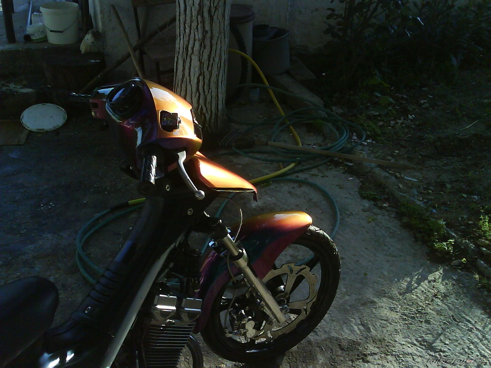 Photo 1148621