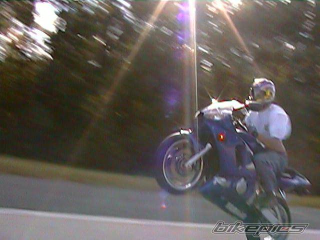 Photo 11487