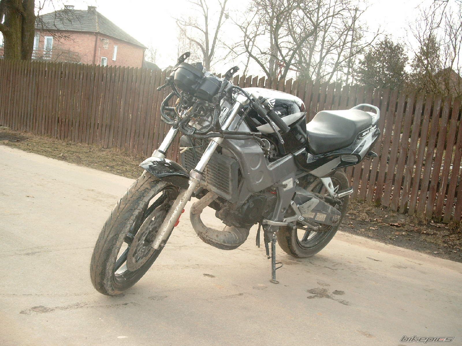 Photo 1148709