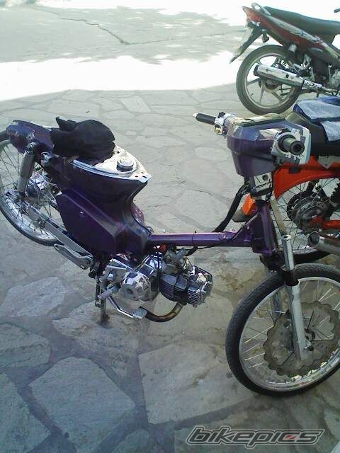 Photo 1148841