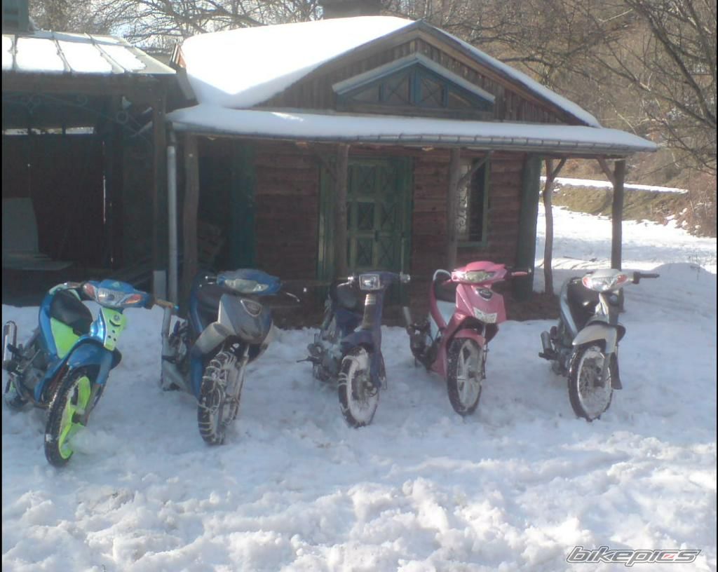 Photo 1148911