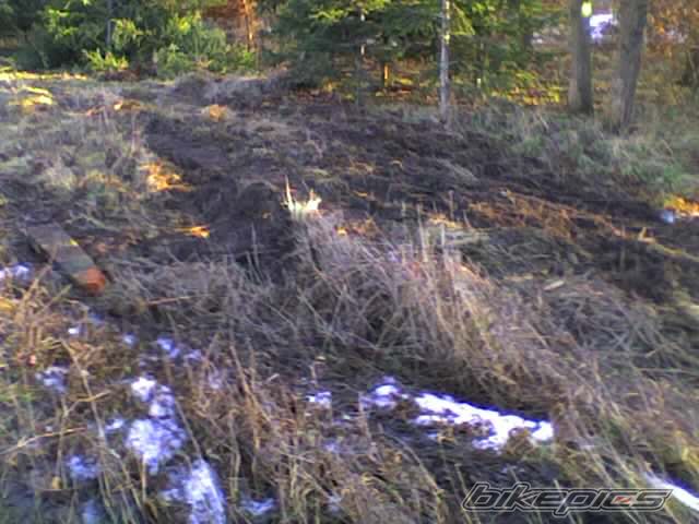 Photo 1148986