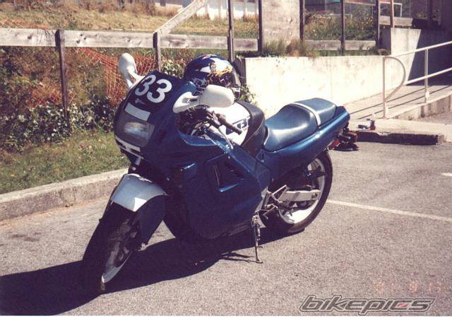 Photo 11490