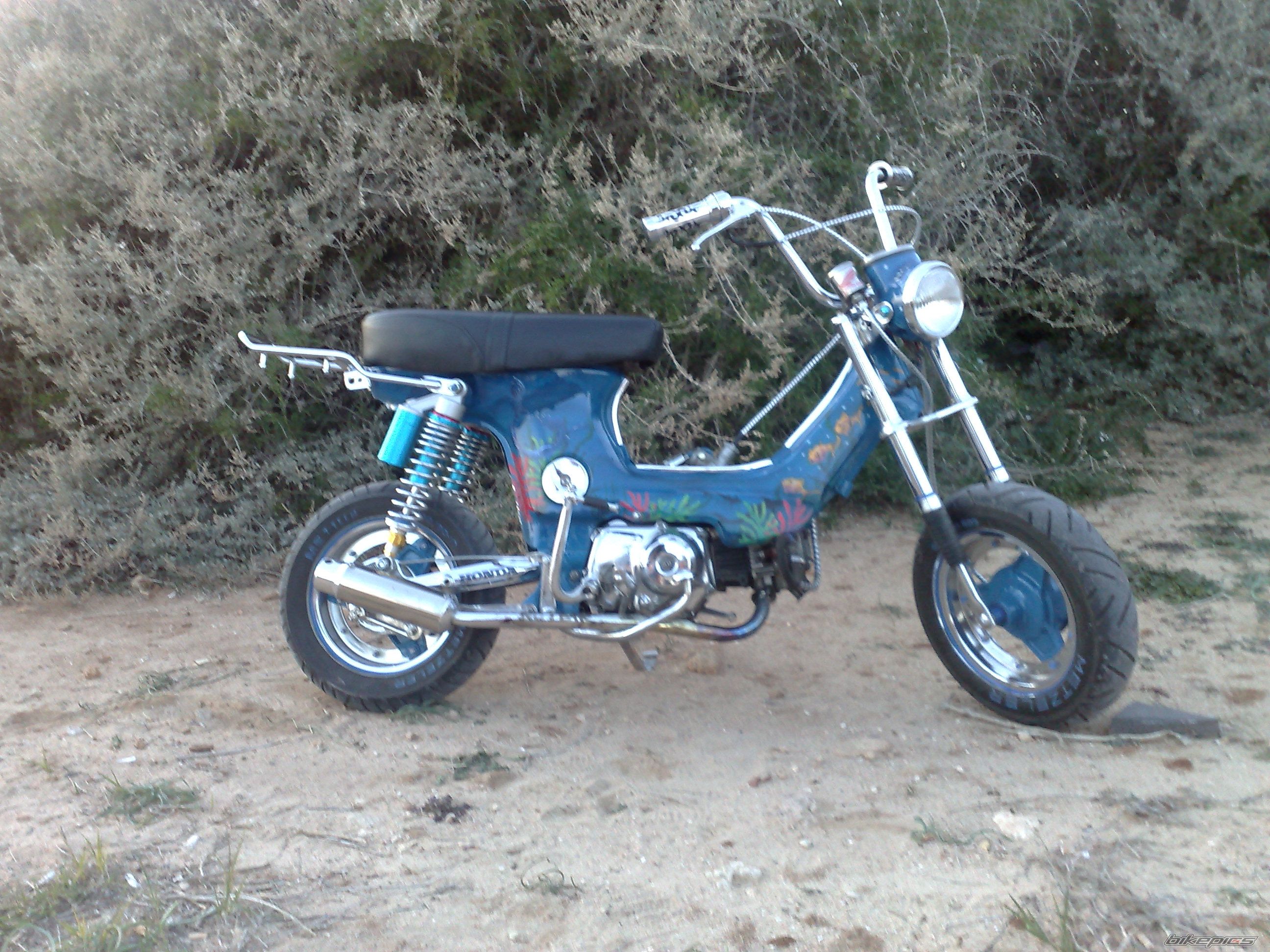 Photo 1149127