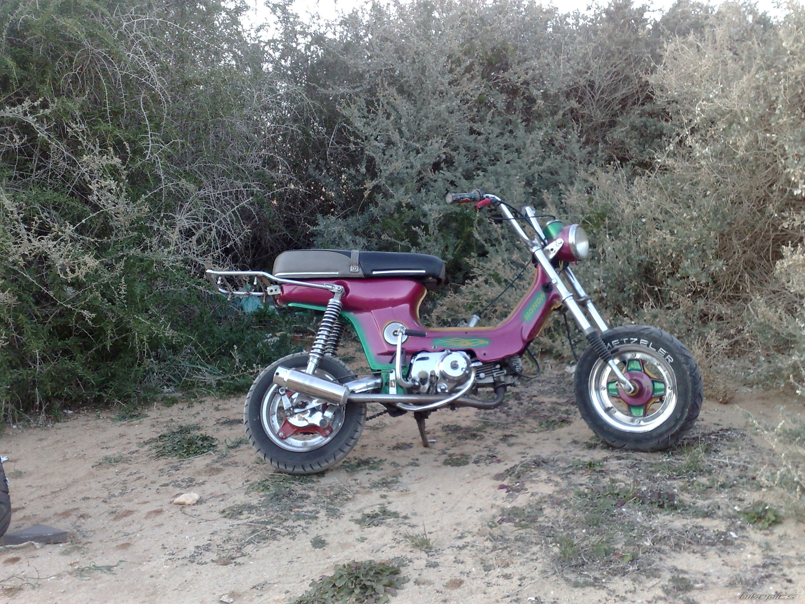 Photo 1149140