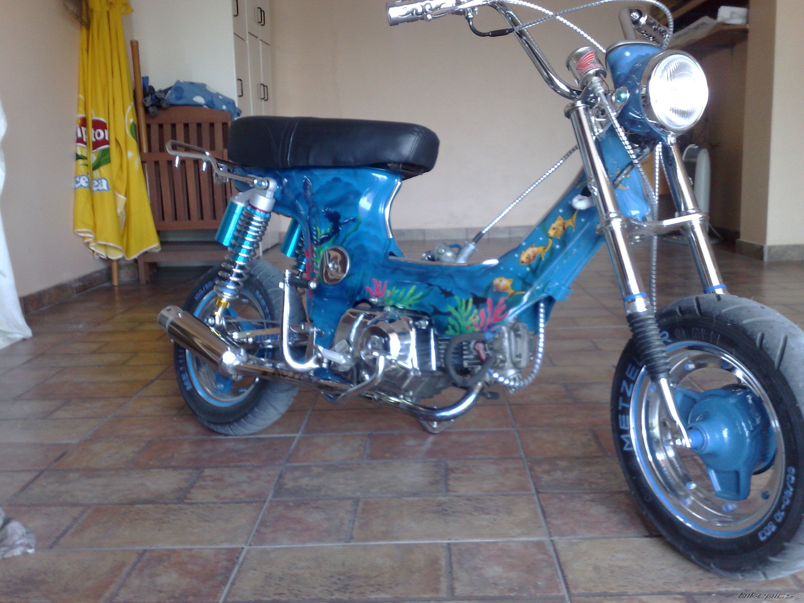 Photo 1149148