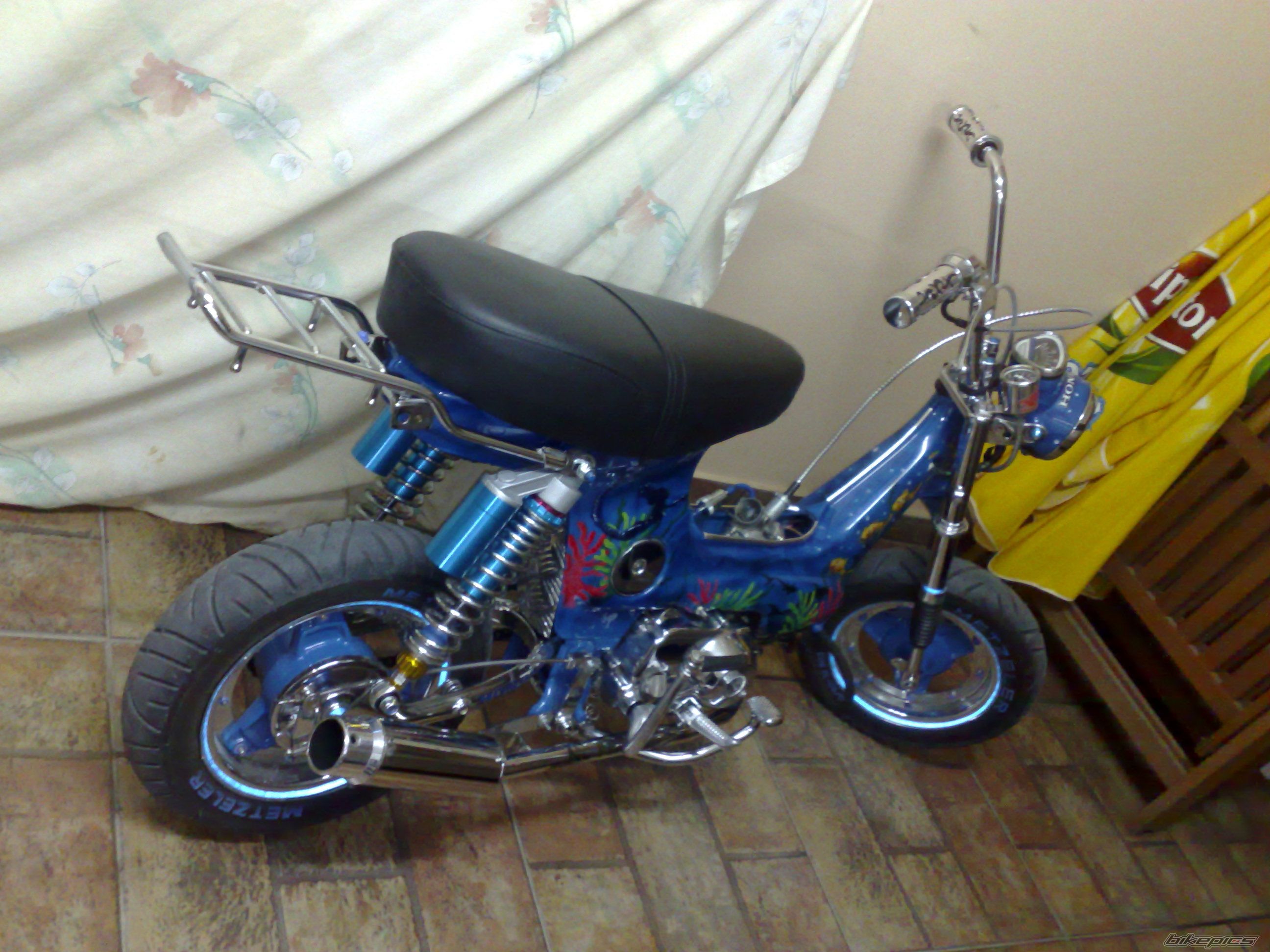 Photo 1149150