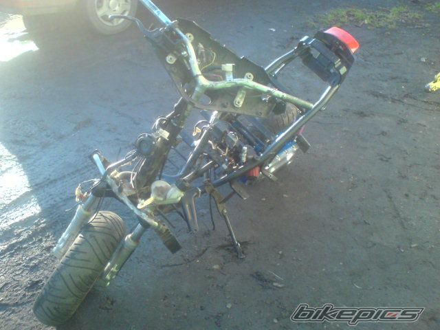 Photo 1149196