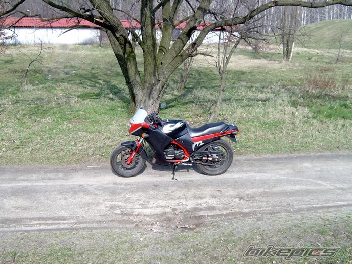 Photo 1149261