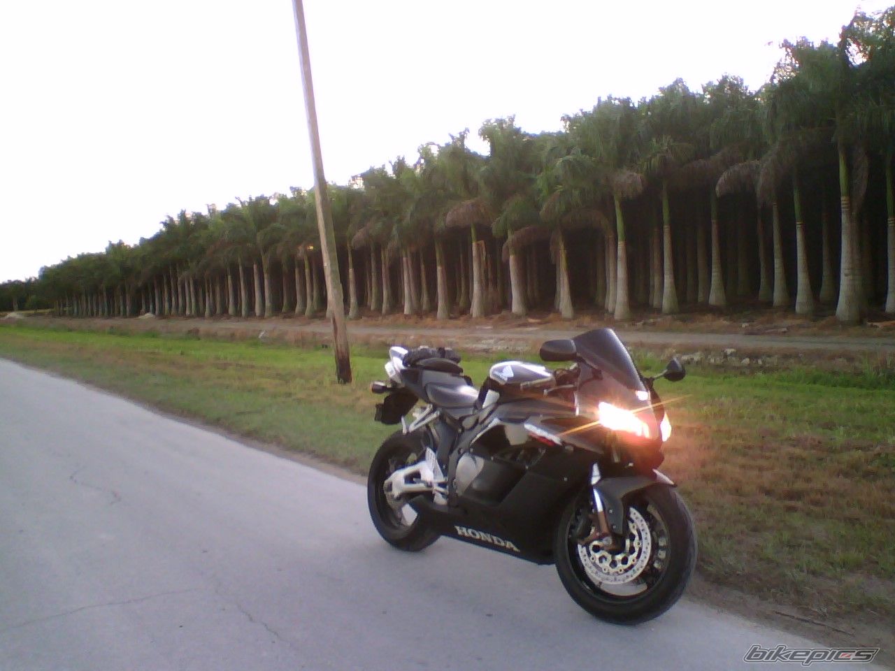 Photo 1149426