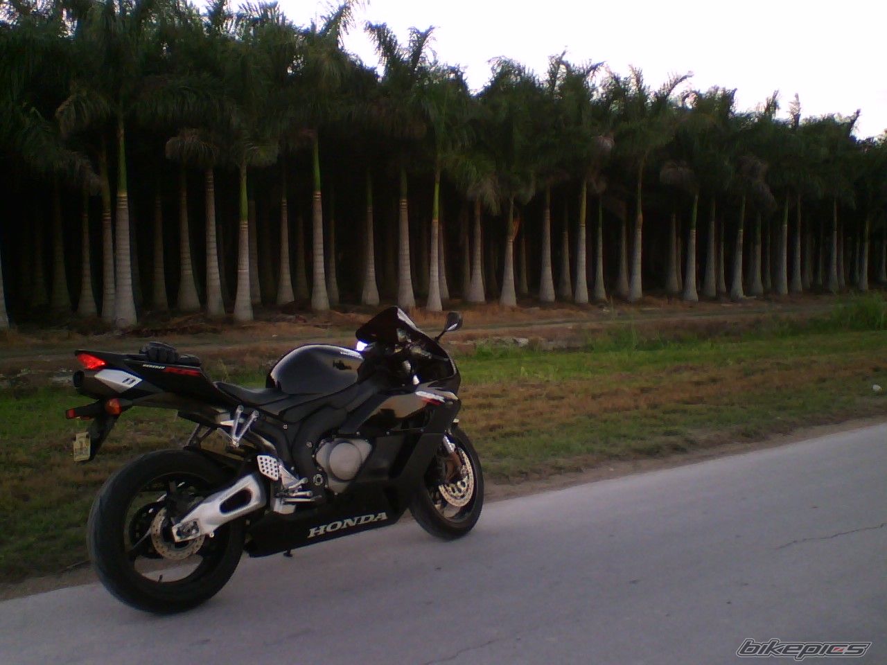 Photo 1149427