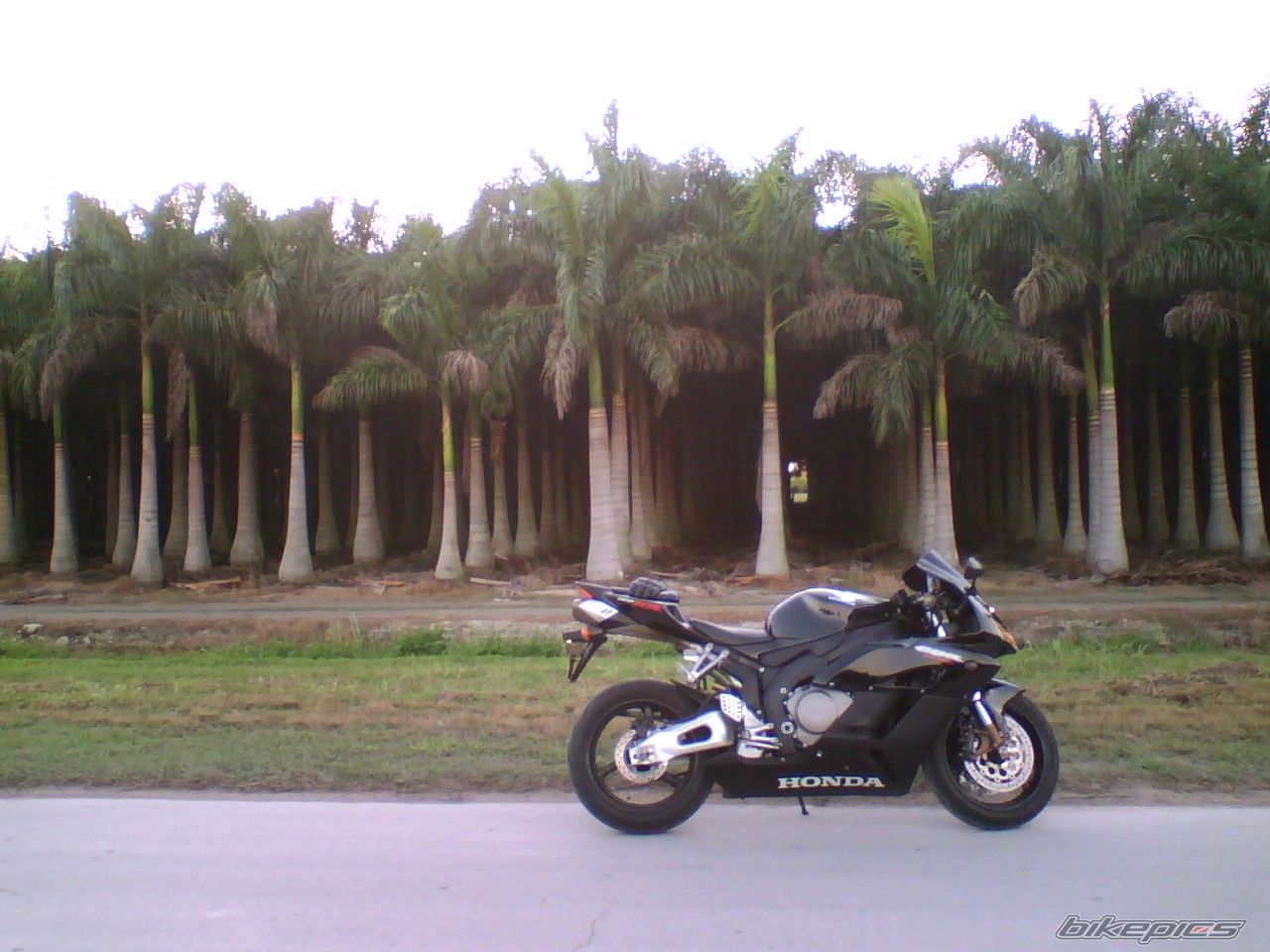Photo 1149428