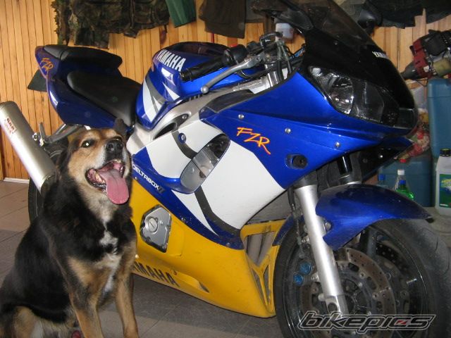 Photo 1149547