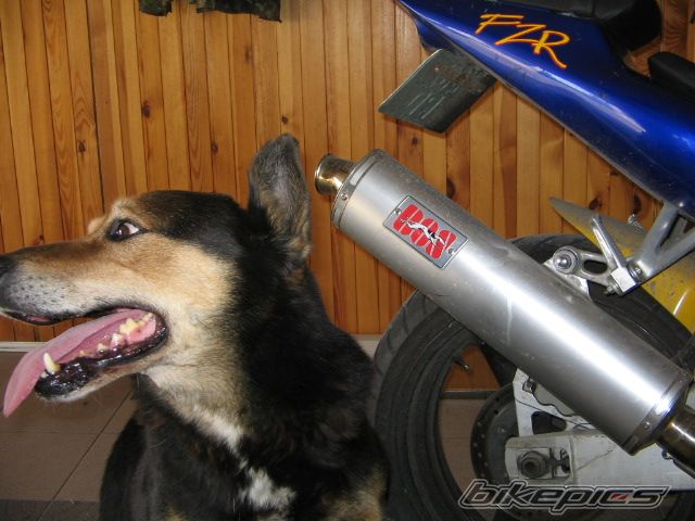 Photo 1149550