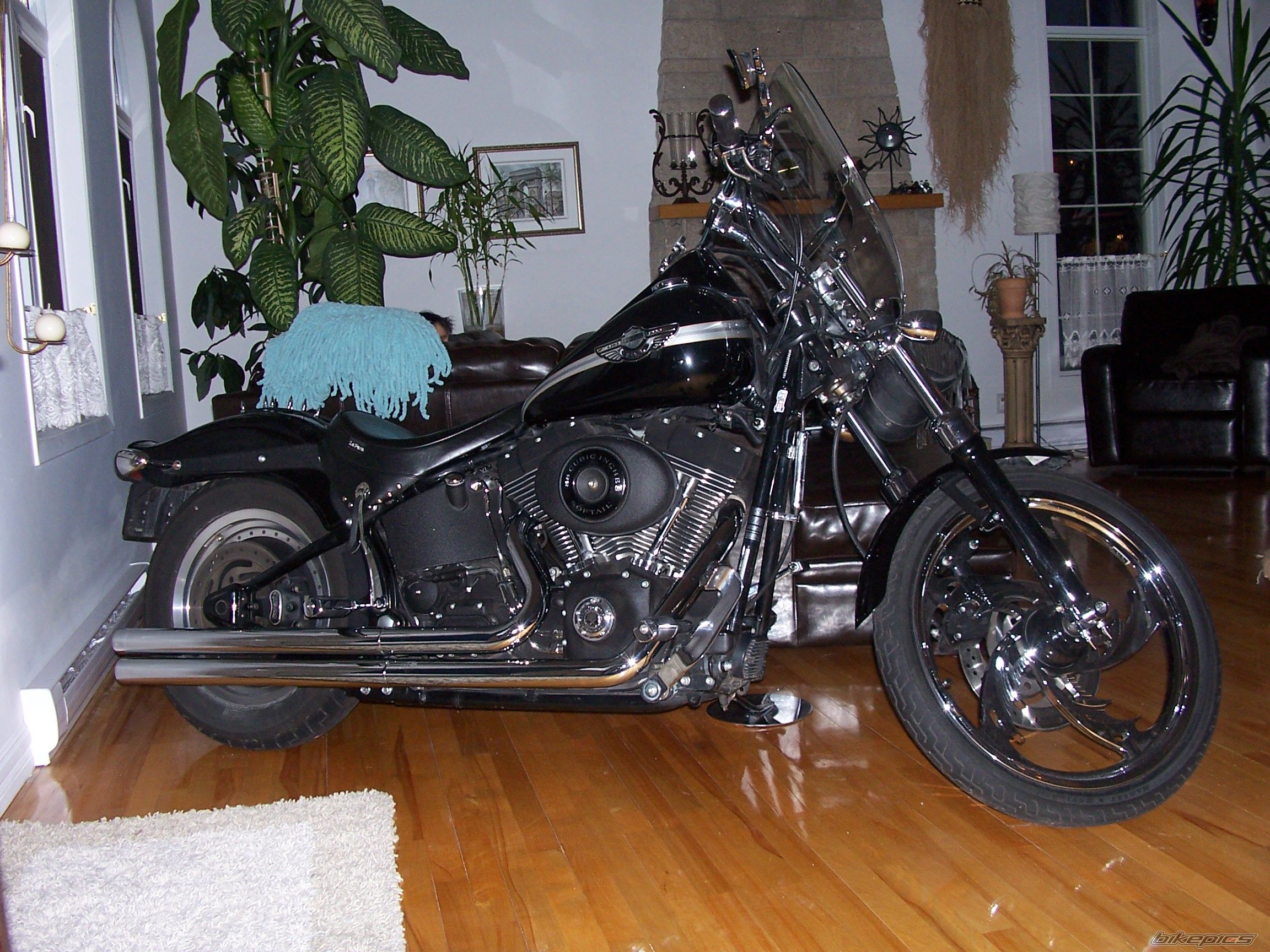 Photo 1149709