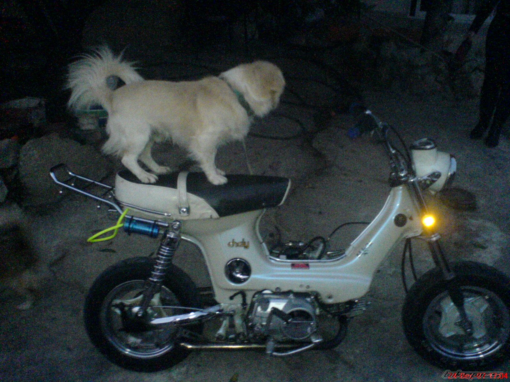 Photo 1149755