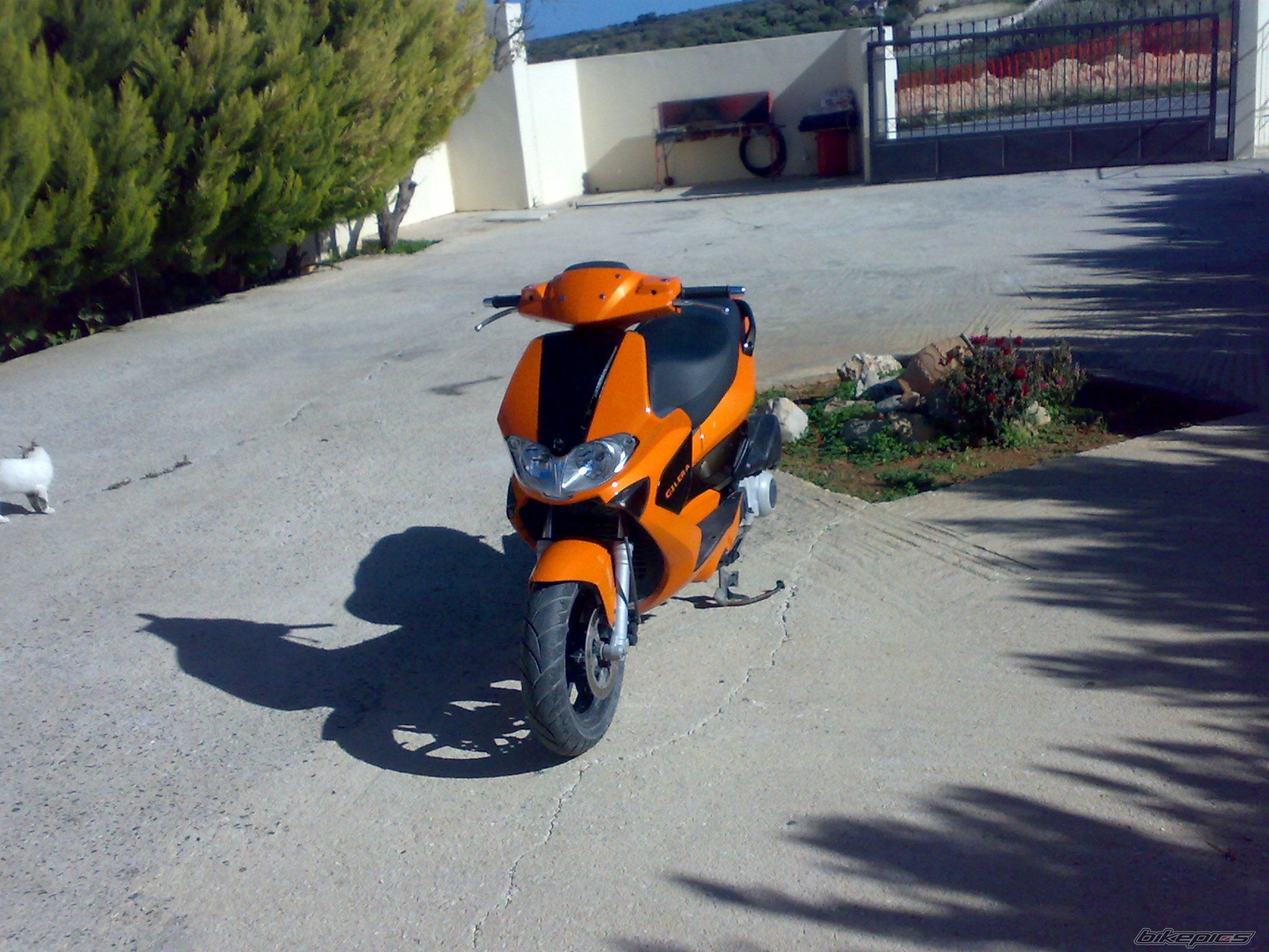 Bike Photo 1149762