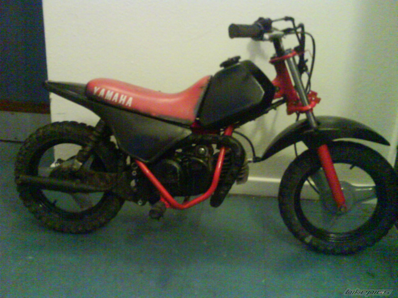 Photo 1150063