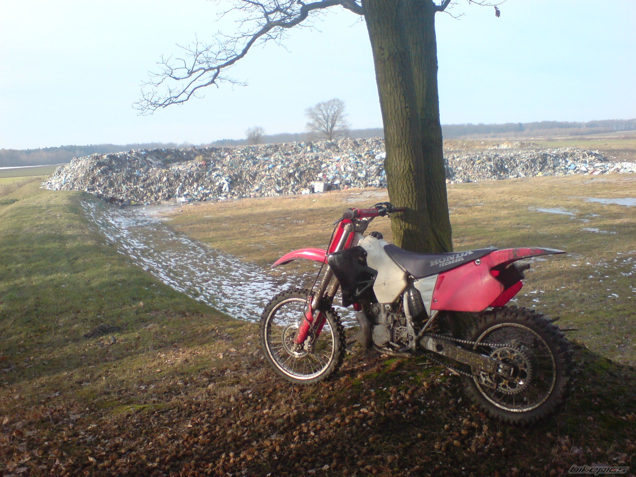 Photo 1150150