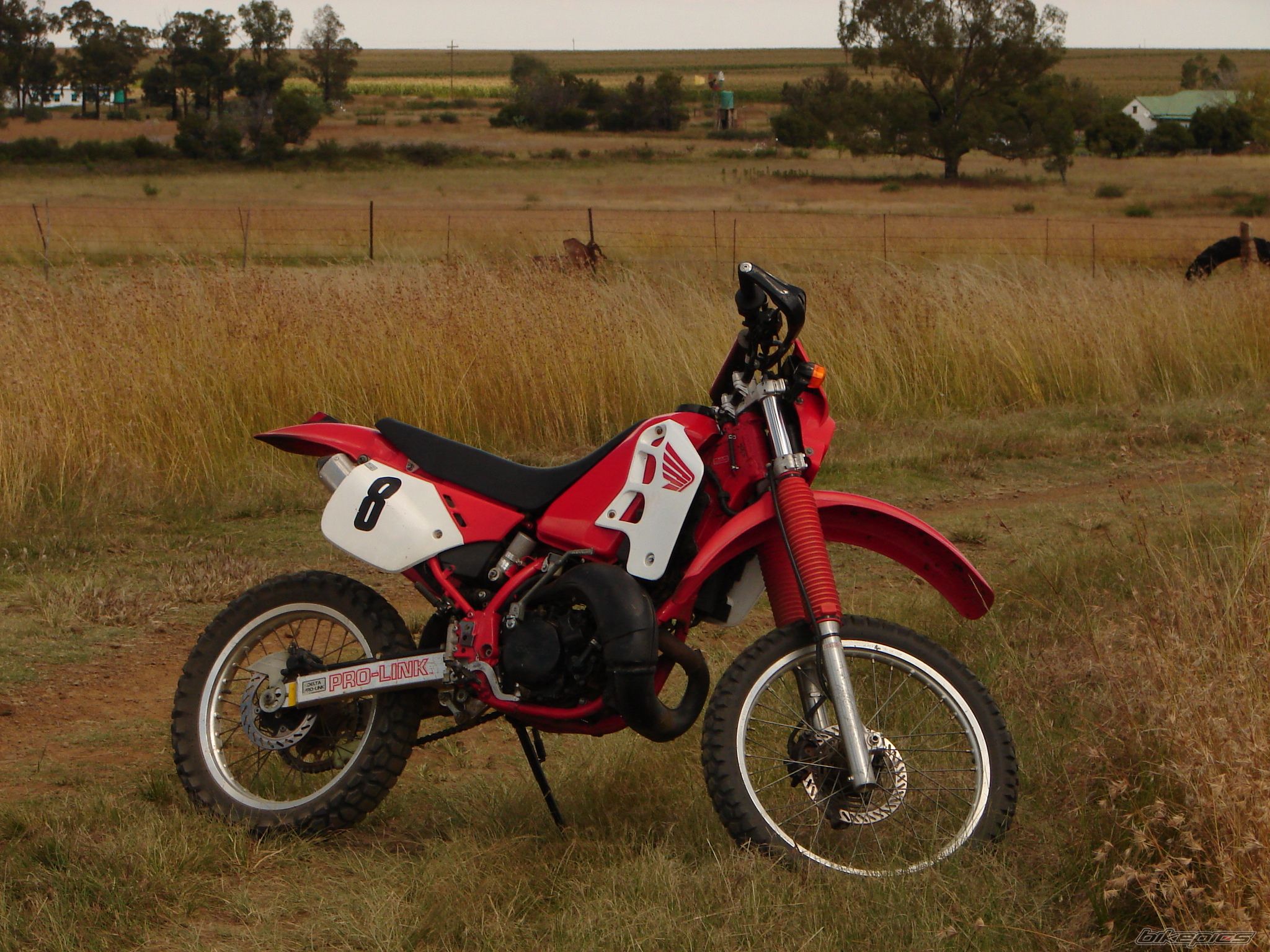Photo 1150310