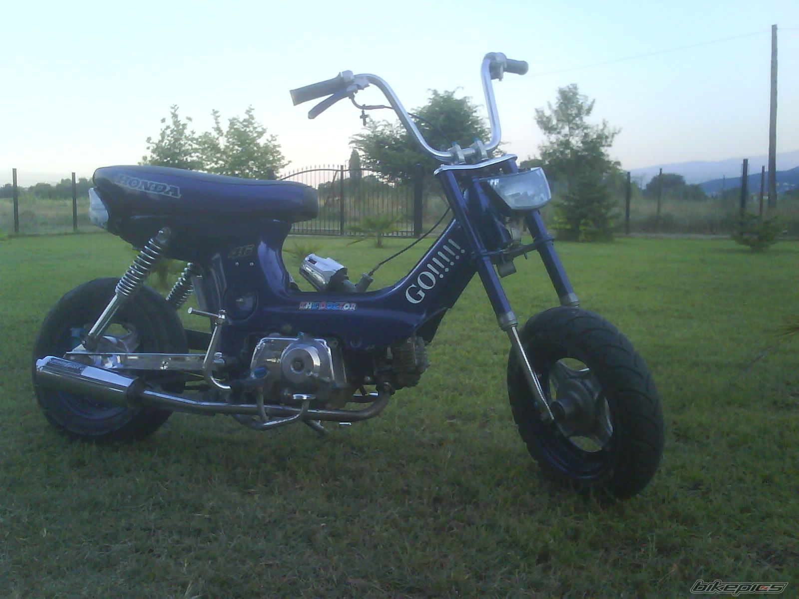 Photo 1150387