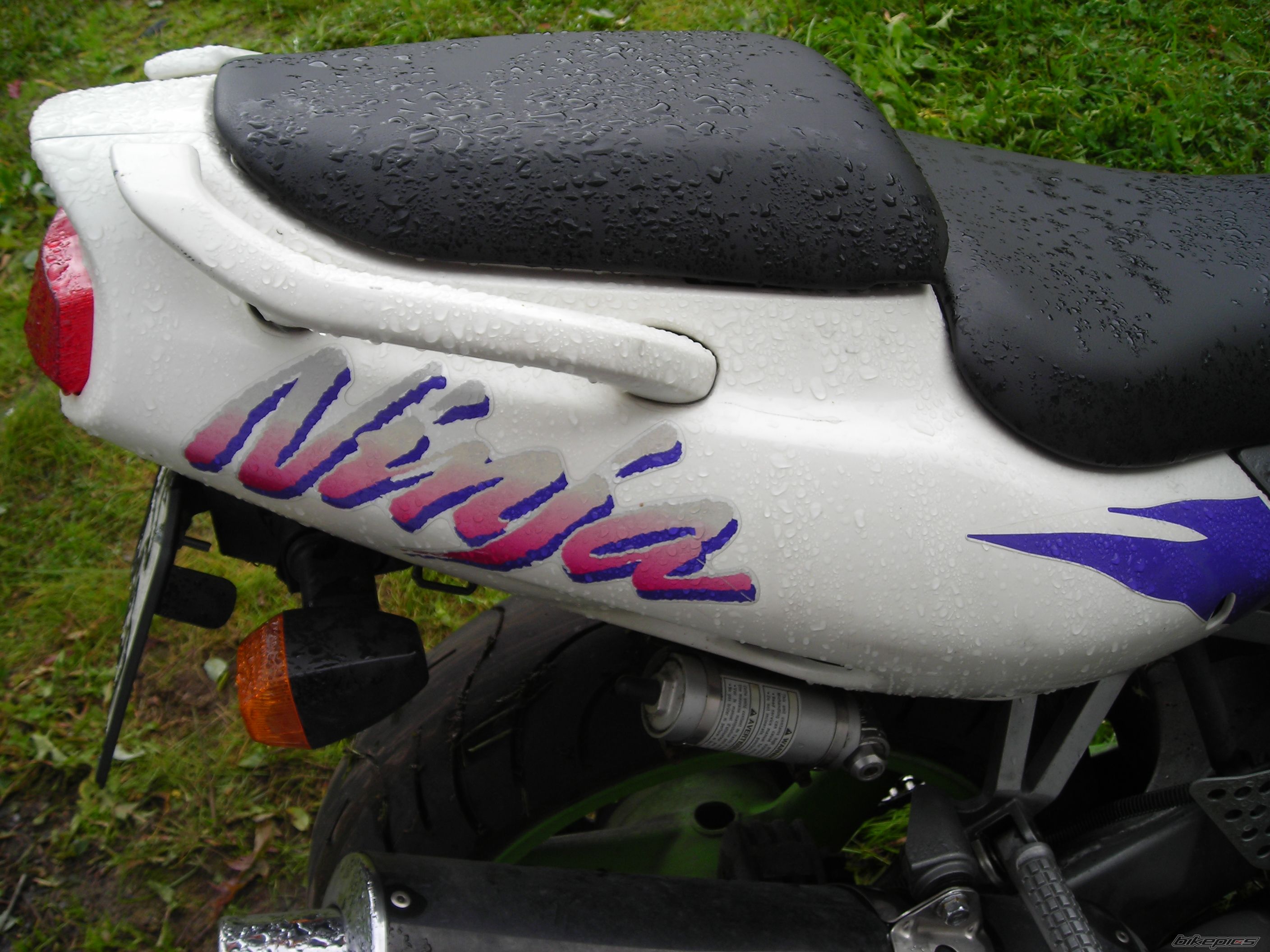 Photo 1150634