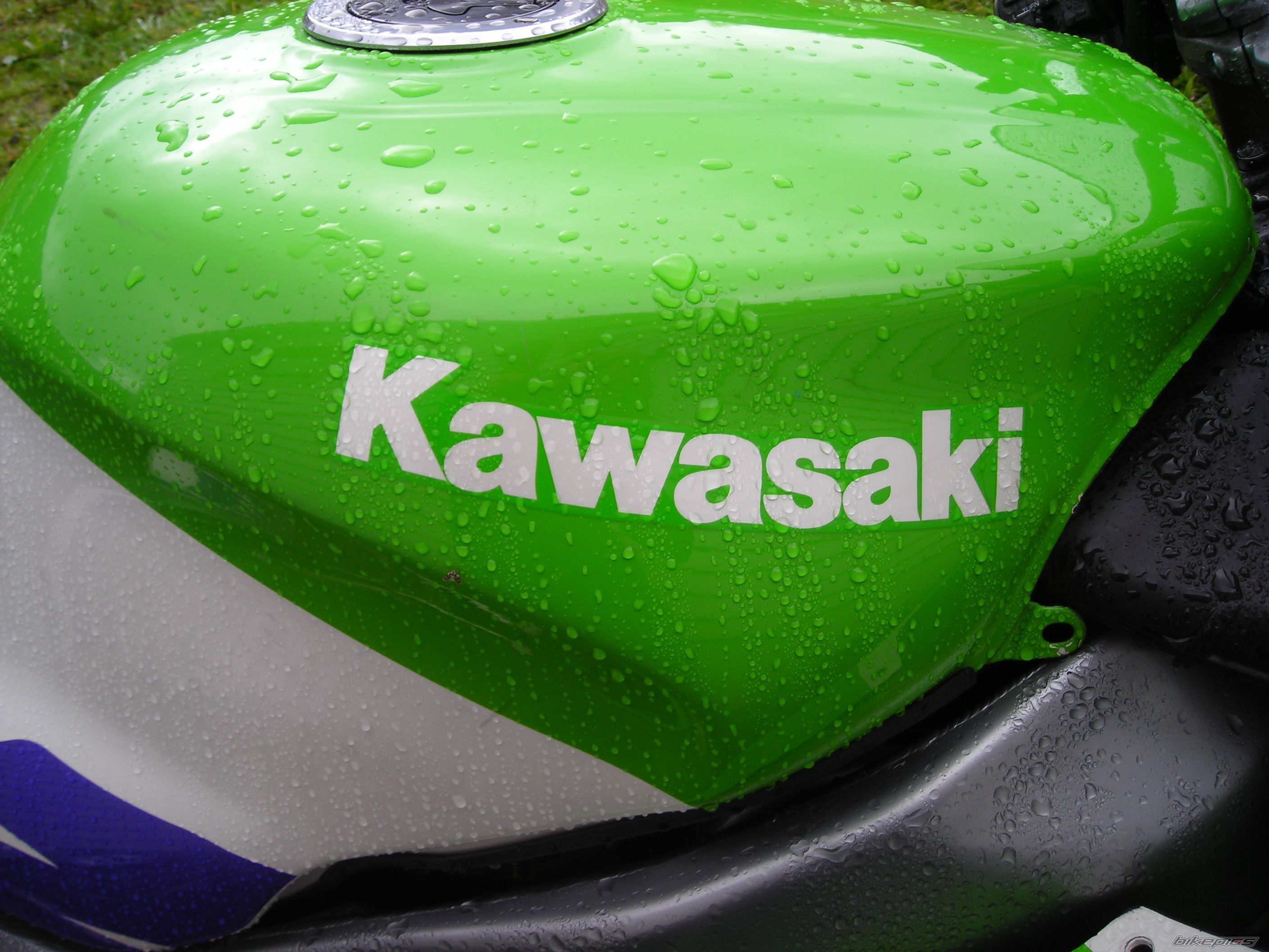 Photo 1150635