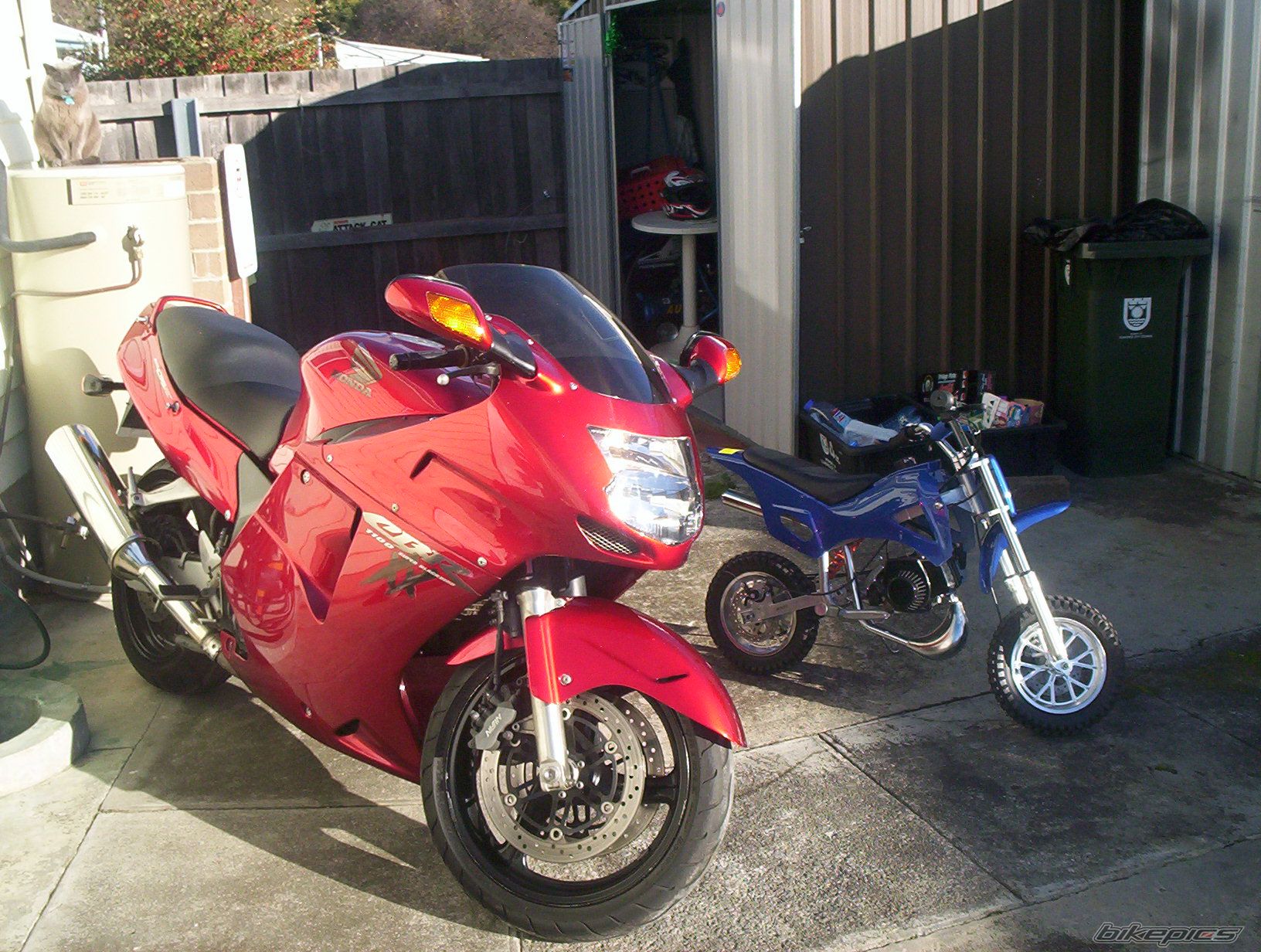 Bike Photo 1150658