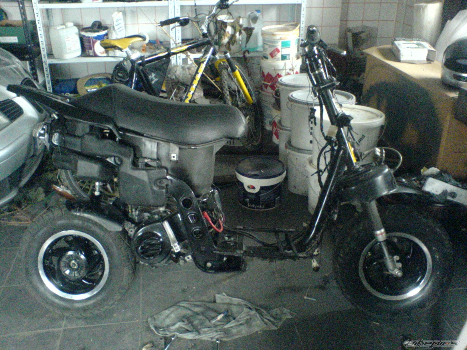 Photo 1150785