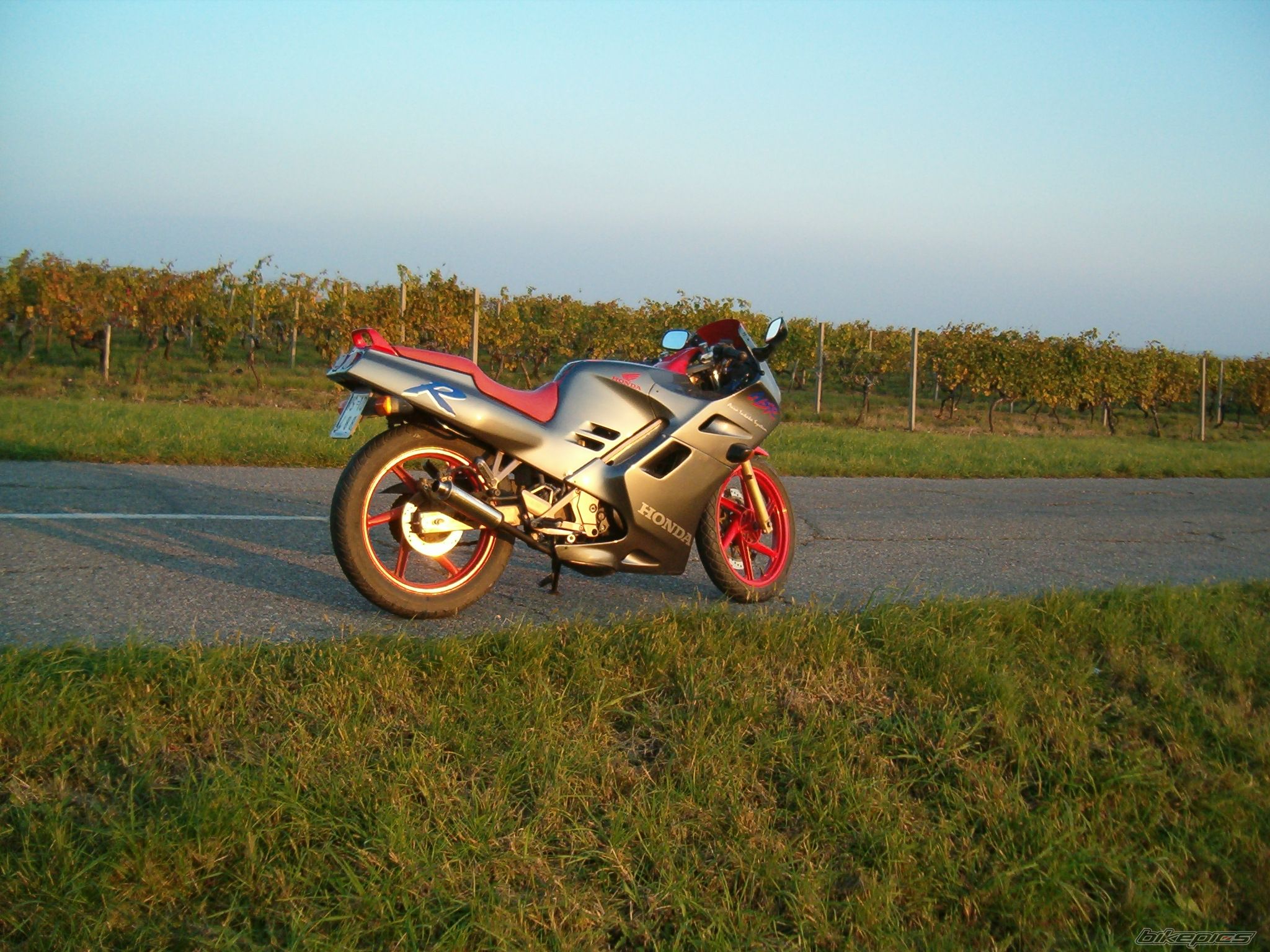 Photo 1151119
