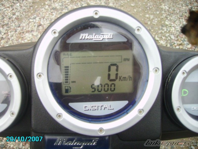 Photo 1151155