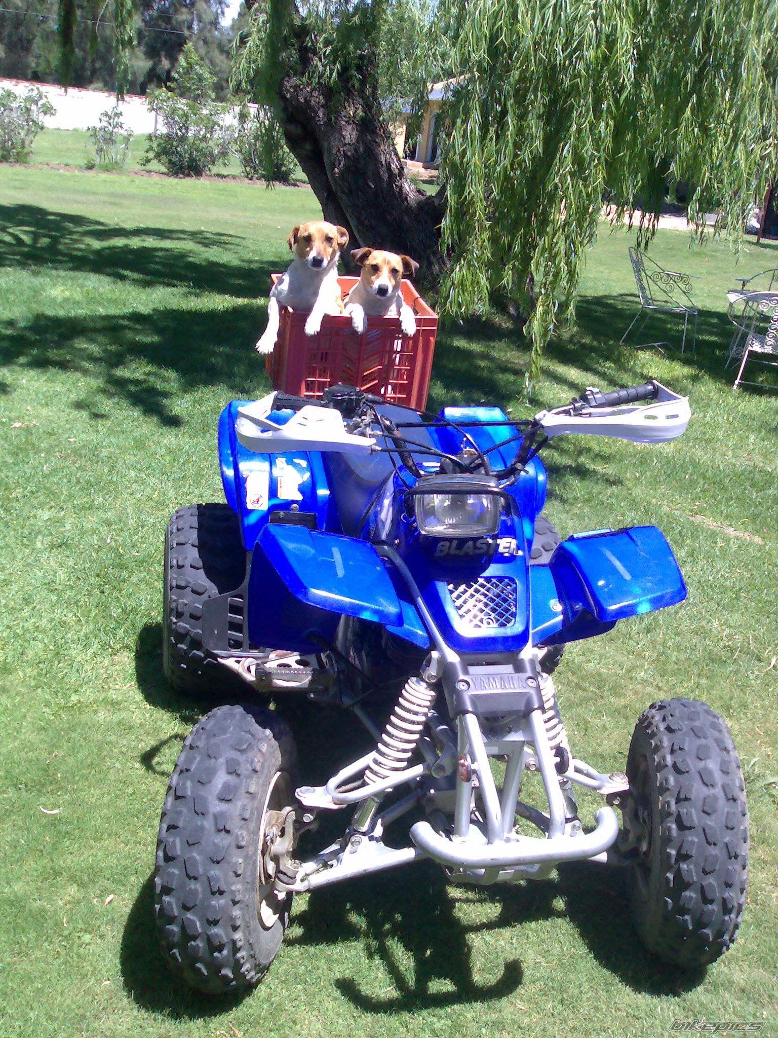 Photo 1151179