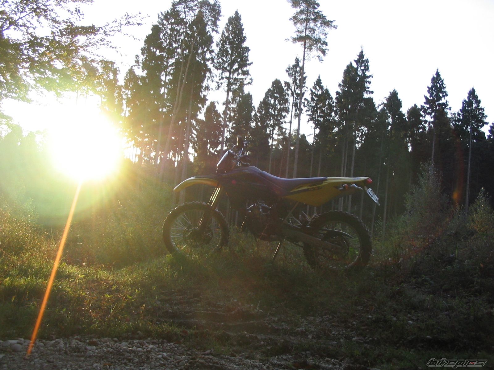 Photo 1151212