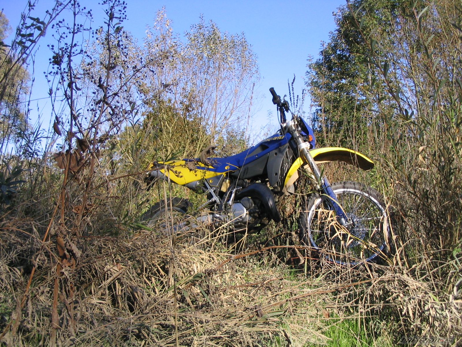 Bike Photo 1151229